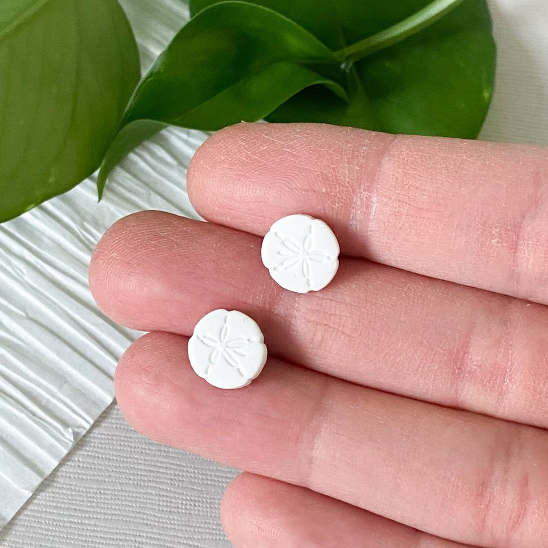 Round Stud Earrings in White Sand Dollar Design