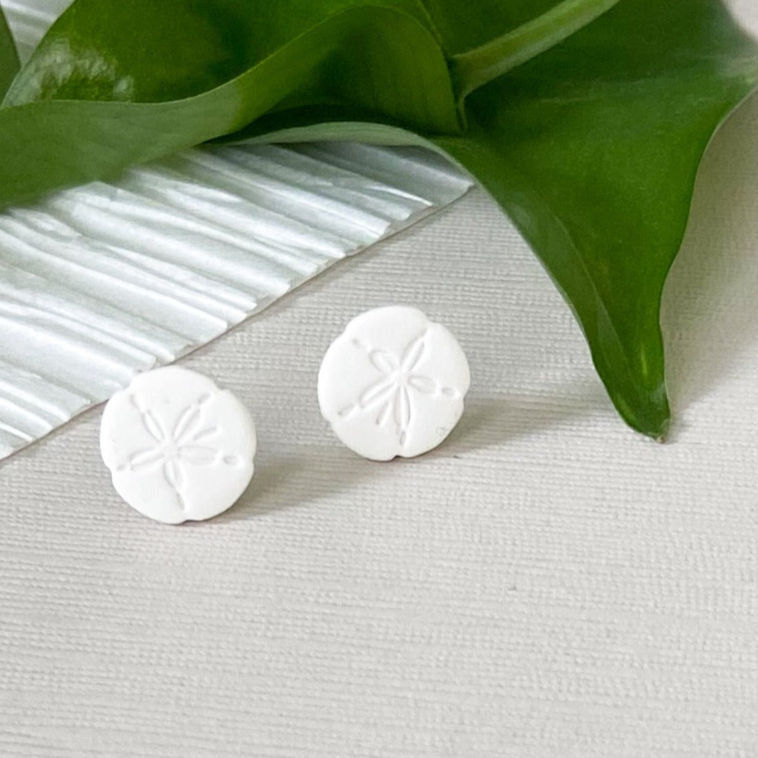 Round Stud Earrings in White Sand Dollar Design